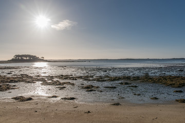 Fototapeta na wymiar Morbihan gulf, in Brittany, panorama of low tide beach in back-light, in winter, sunny day 