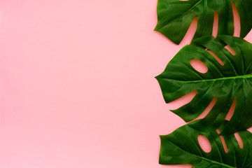 Tropical palm leaves on a light pink background. Side border. Minimal nature. Flat lay. Top view.