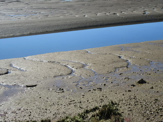 Mud flats in the Donana National Park
