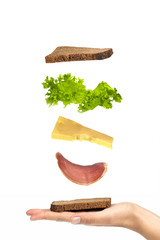 sandwich on the hand