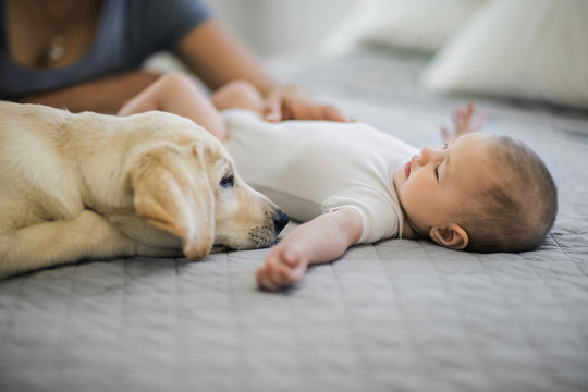 Dog sitting next to baby boy on the bed