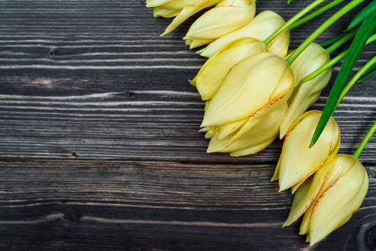 Spring background with bunch of tulip flowers, copy space. Yellow tulips on wooden background. Flat lay, top view. Holiday greeting card for Valentines Day, Womens Day, March 8, Mothers Day, Easter