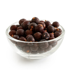 Dried juniper berries in glass bowl isolated on white.