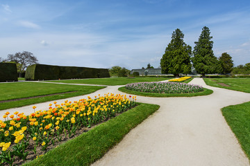 Ornamental park with tulips