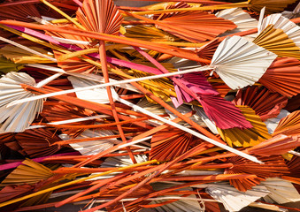 dried palm spear