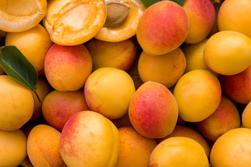 Picked ripe apricots  with leaves background pattern.
