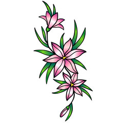 A pink lilies. stylization