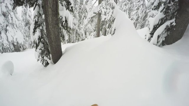 POV, descending down slope in British Columbia