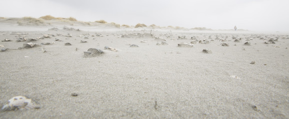 Beach at island Schiermonnikoog, protected nature reserve and popular for tourism.