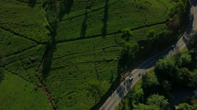 Amazing view of &ntilde;ar moving through the tea plantation in Sri Lanka drone footage