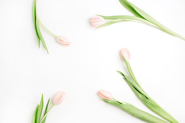 Frame of pink tulip flowers on white background. Flat lay, top view. Minimal floral mock up concept.