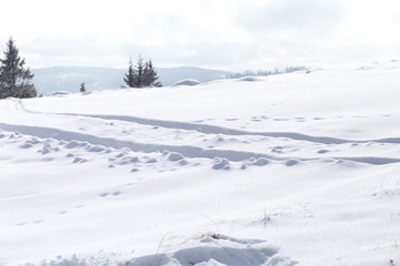 Fototapeta na wymiar Snow winter background 