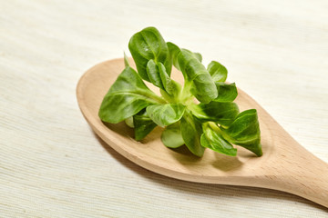 Fresh leaf Lettuce corn on background. Close Up view.