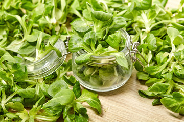 Fresh leaf Lettuce corn on background. Close Up view.