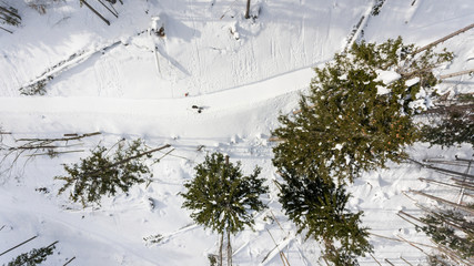 Drop down view of road going through winter forest.