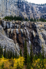 Fototapeta na wymiar Weeping wall, Banff National Park, Alberta, Canada