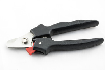 Peak cutter for raptors on white background
