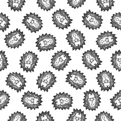 Seamless pattern - cute doodle hedgehog
