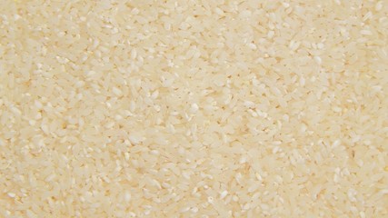 grain rice texture