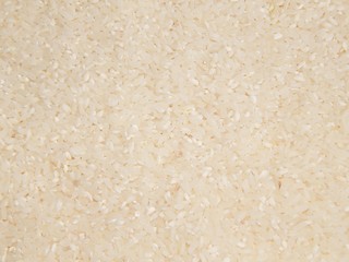 grain rice texture