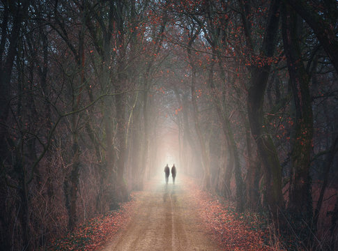 der Weg in das Licht