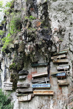Hanging coffins of the Igorot indigenous people. Sagada-Mountain province-Philippines. 0230