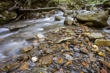 Zeleni vir (Green whirlpool) beautiful trip place near Skrad in Gorski kotar, Croatia. 