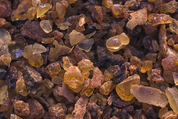 myrrh (Commiphora myrrha)