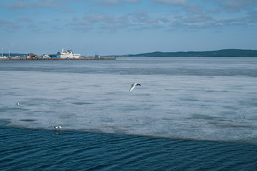 waiting for the opening of navigation on the lake