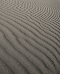 Dune background