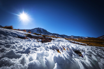 Atacama Desert, Chile - Frozen fields in the Atacama Desert, Chile