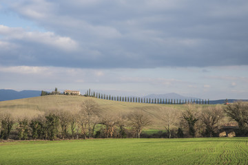 Fototapeta premium Val d'Orcia, Tuscany