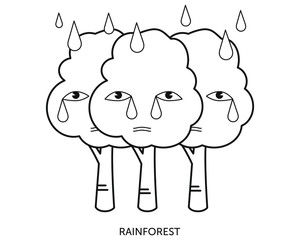 Rainforest