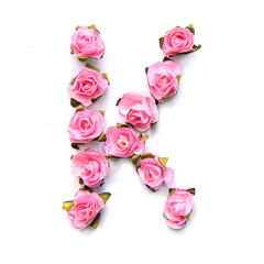 Letter K of English alphabet of pink roses on white background