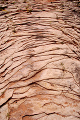 Layered sandstone in dry wash canyon country in Southern Utah desert