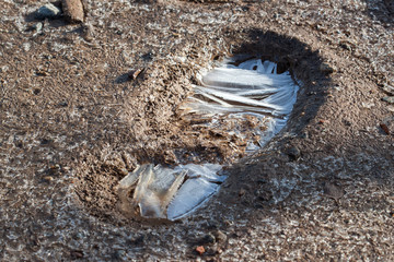 Texture of mud with footprint of shoes in winter