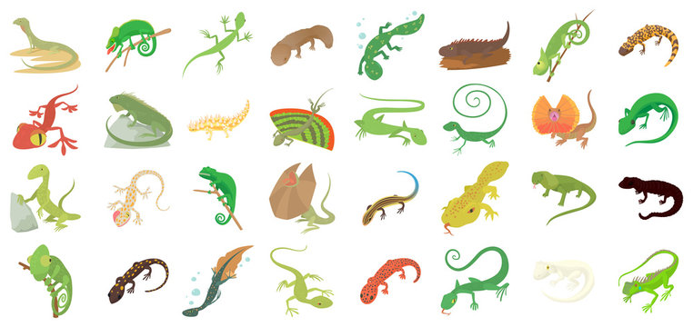 Lizard icon set, cartoon style
