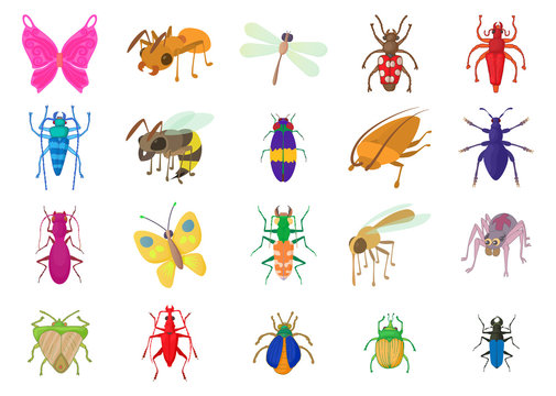 Insects icon set, cartoon style