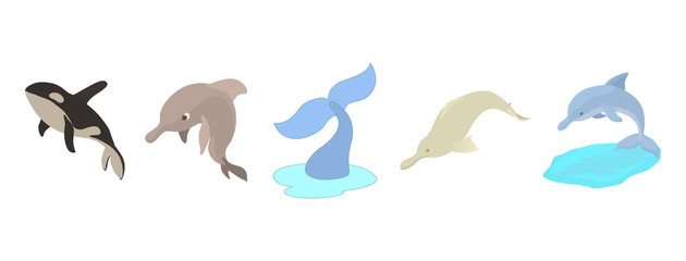 Sea mammals icon set, cartoon style