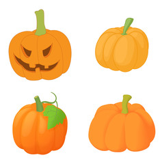 Pumpkin icon set, cartoon style