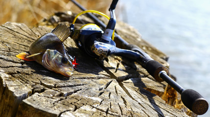 Obraz premium fish with a fishing rod