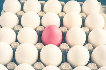 Pink egg among white eggs in a cardboard box