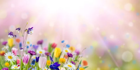 Abwaschbare Fototapete Blumen Naturhintergrund mit wilden Blumen