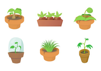 House plant icon set, cartoon style