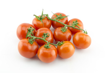 tomato white background 