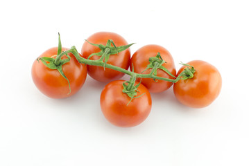 tomato white background 