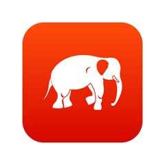 Elephant icon digital red
