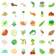 Natural riches icons set, cartoon style
