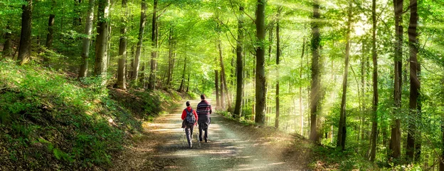 Foto op Canvas Actieve vakantie in het voorjaar met een wandeling in het bos © eyetronic
