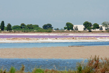saline lakes
